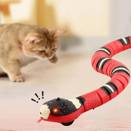 Smart Sensing Snake