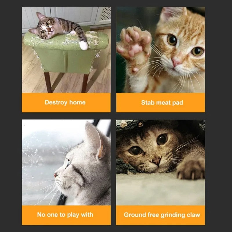 Cat Scratcher - We recommend getting two or more to link together for extra fun