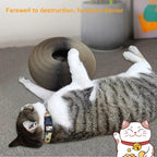 Cat Scratcher - We recommend getting two or more to link together for extra fun