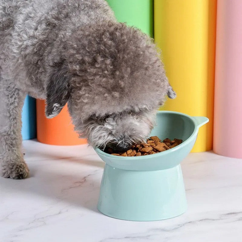 Elevated Pet Bowl for Dogs and Cats - Cervical Vertebra Protection