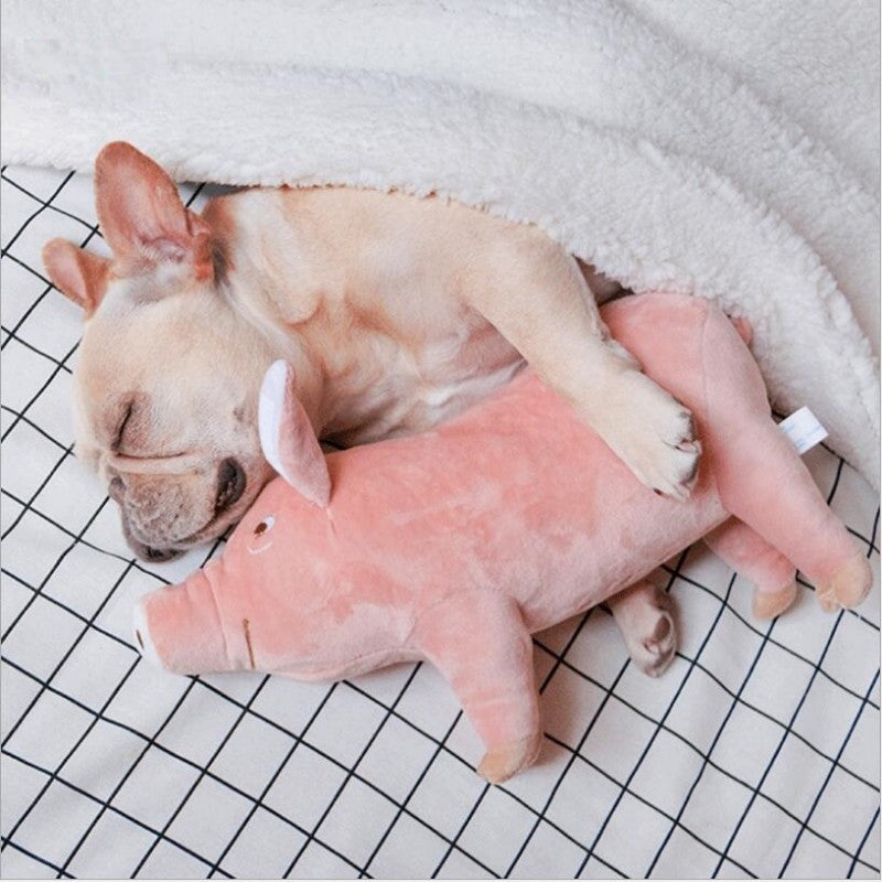 Pig Chew Toys For Dog - Funny Durable Plush Dog Toys
