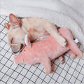 Pig Chew Toys For Dog - Funny Durable Plush Dog Toys