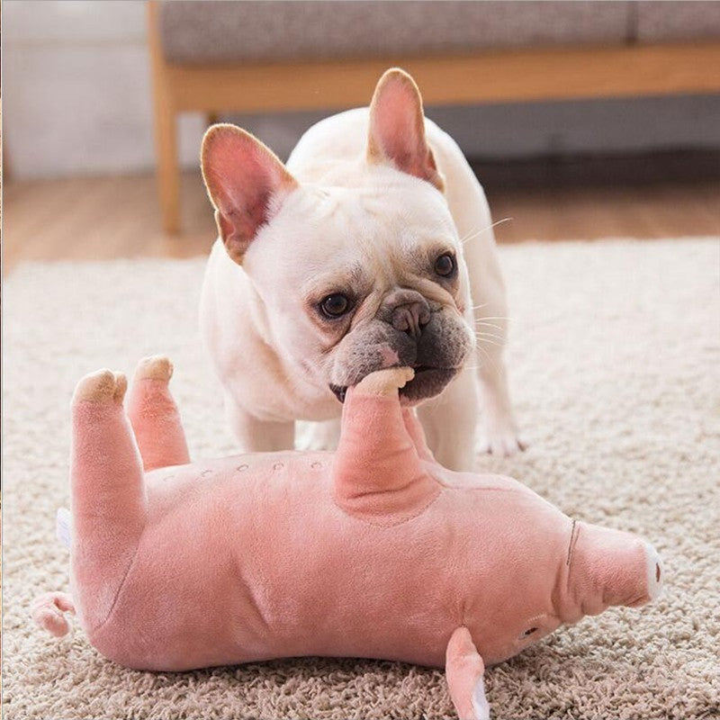 Pig Chew Toys For Dog - Funny Durable Plush Dog Toys