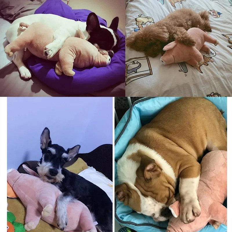 Pig Chew Toys For Dog - Funny Durable Plush Dog Toys