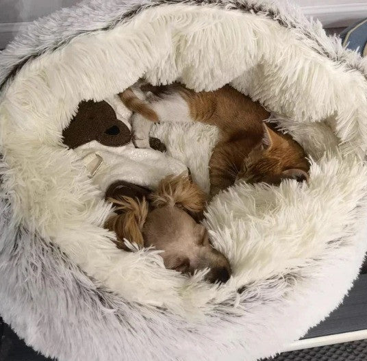 Winter Super Cozy Pet Plush