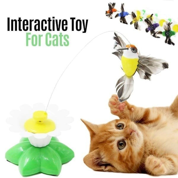 Interactive Bird Toy For Cat