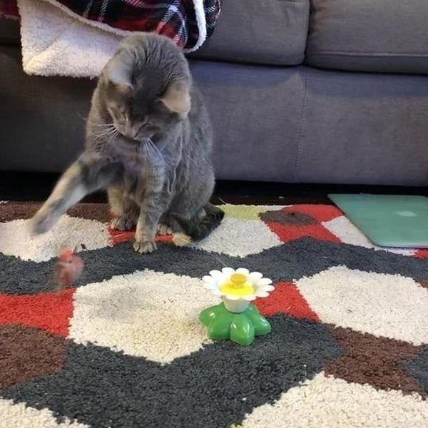 Interactive Bird Toy For Cat