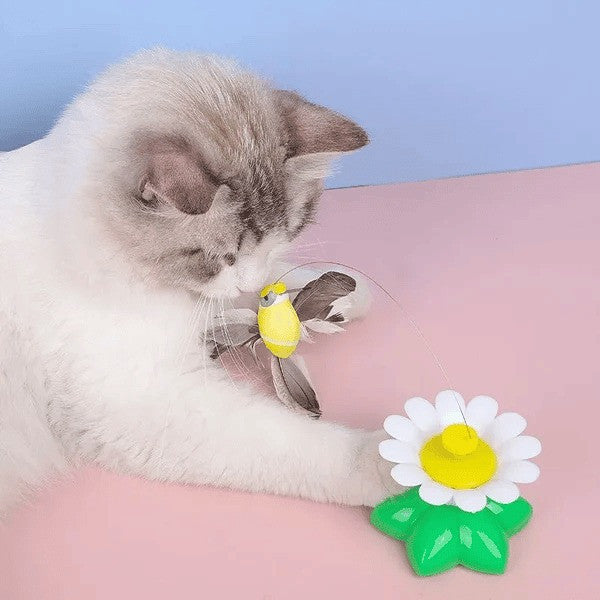 Interactive Bird Toy For Cat