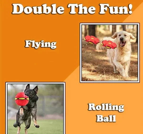 Doggy disc Ball 🐶