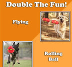 Doggy disc Ball 🐶