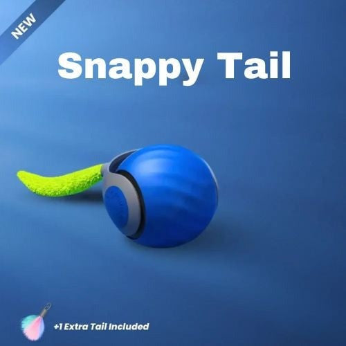 Snappy Tail - Reach Higher, Faster!