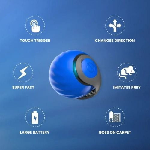 Snappy Tail - Reach Higher, Faster!