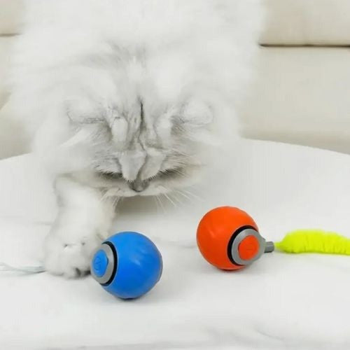 Snappy Tail - Reach Higher, Faster!