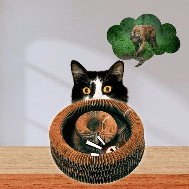 Cat Scratcher