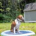 Refreshing Dog Sprinkler Pad