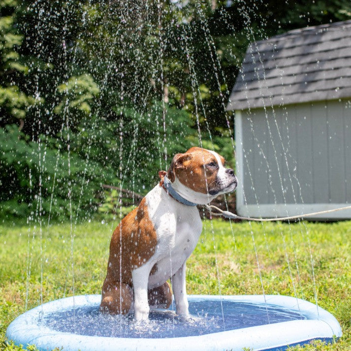 Refreshing Dog Sprinkler Pad