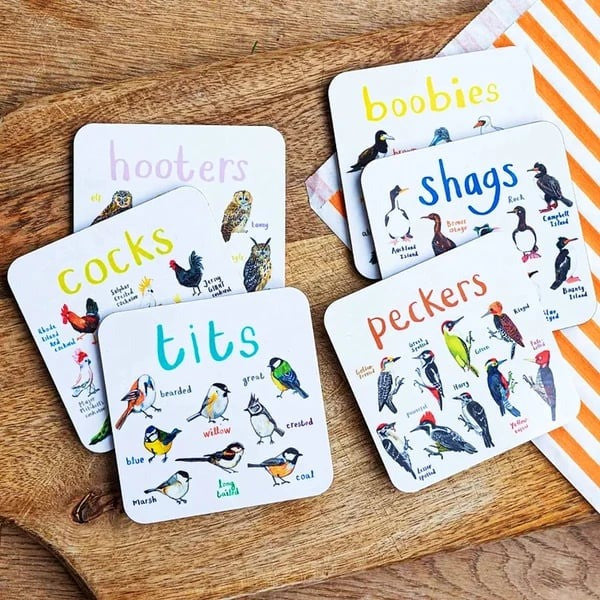 🐦 Set of 6 Bird Pun Coasters