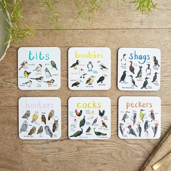 🐦 Set of 6 Bird Pun Coasters