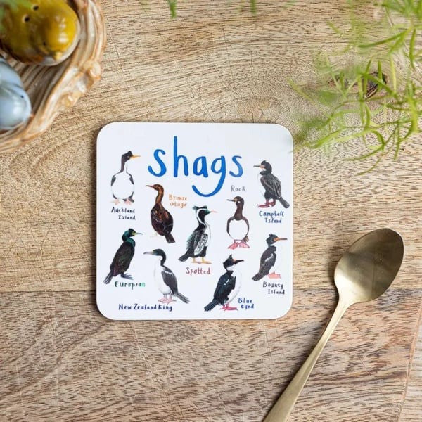 🐦 Set of 6 Bird Pun Coasters