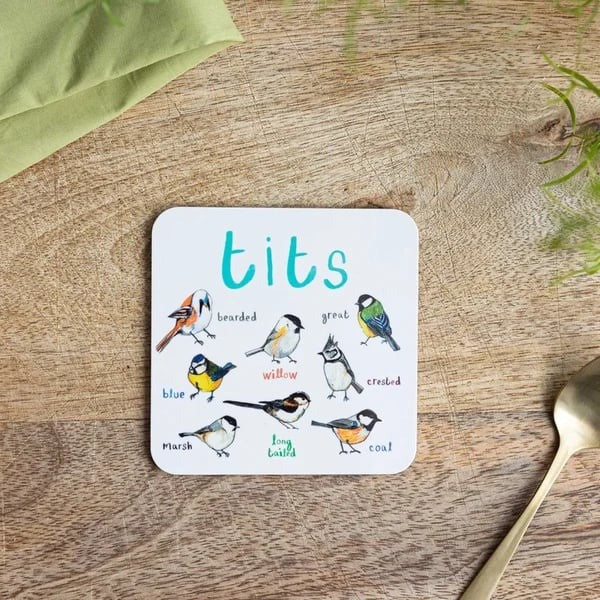 🐦 Set of 6 Bird Pun Coasters