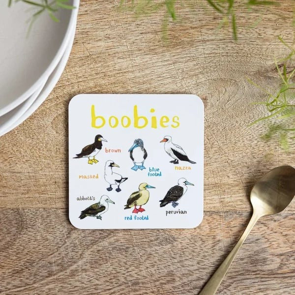 🐦 Set of 6 Bird Pun Coasters