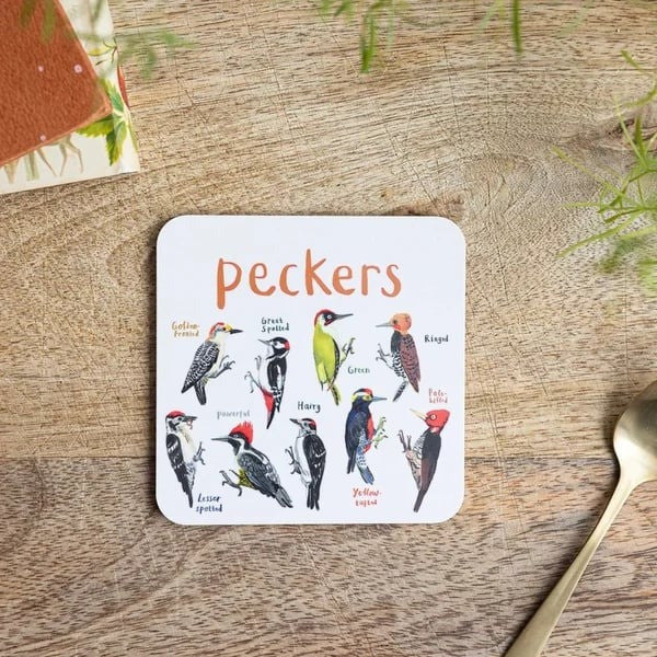 🐦 Set of 6 Bird Pun Coasters