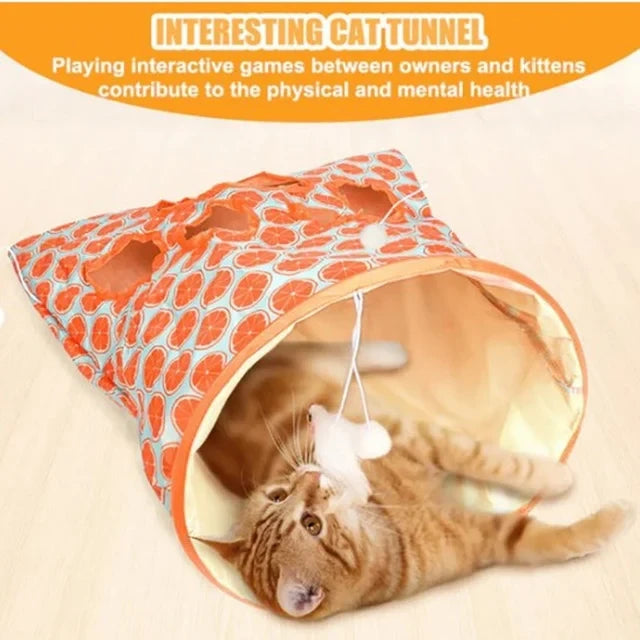 Cat Play Tunnel ??