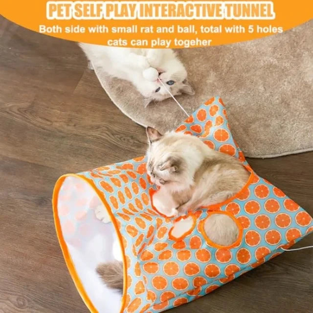 Cat Play Tunnel ??