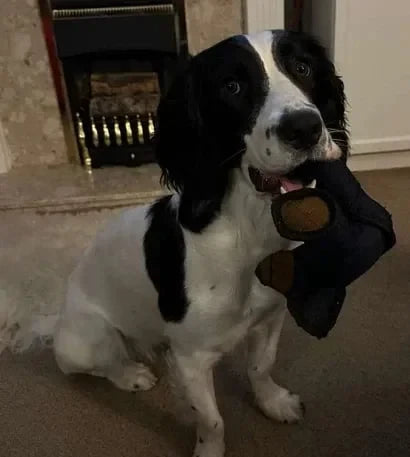 Ultra Durable Chew Toy