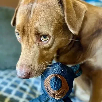 Ultra Durable Chew Toy