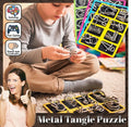 3D Metal Challenge Puzzle Toy