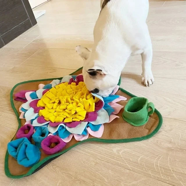 Sniff & Seek Play Mat