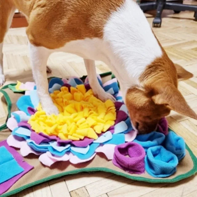 Sniff & Seek Play Mat