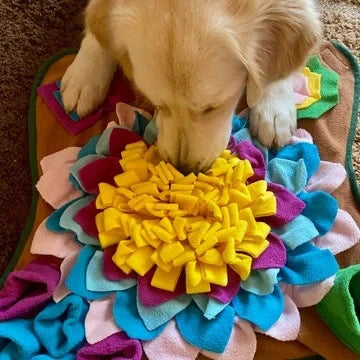 Sniff & Seek Play Mat