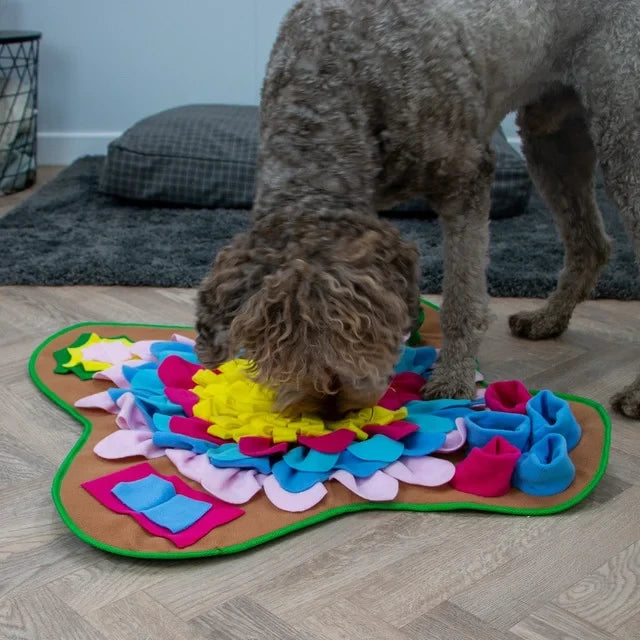 Sniff & Seek Play Mat