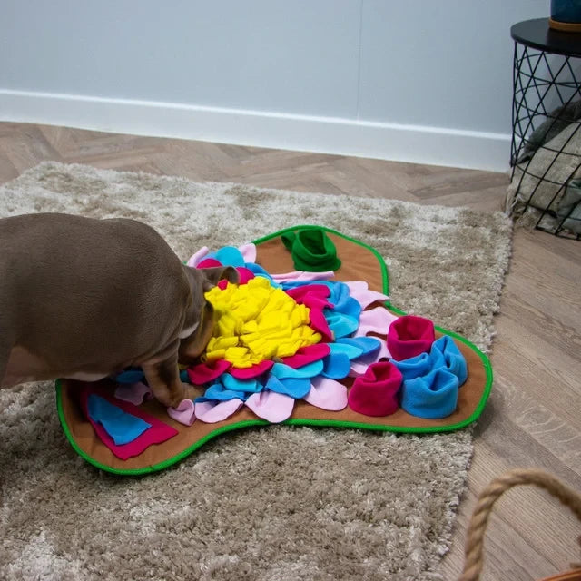Sniff & Seek Play Mat