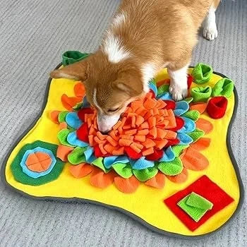 Sniff & Seek Play Mat