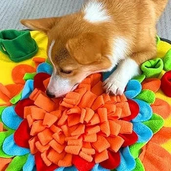 Sniff & Seek Play Mat