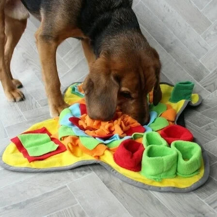 Sniff & Seek Play Mat