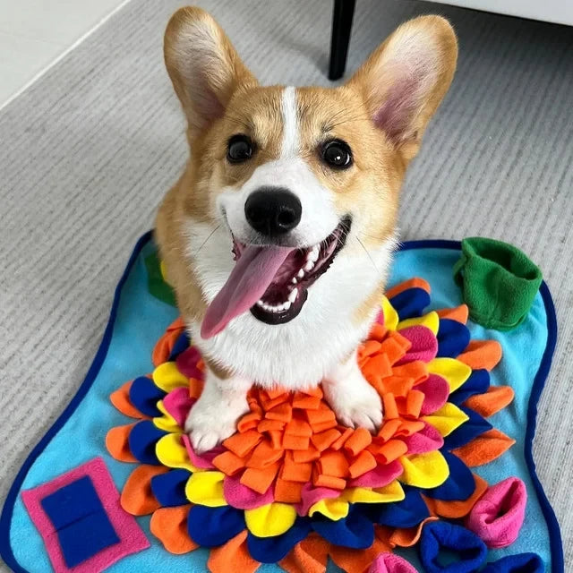 Sniff & Seek Play Mat