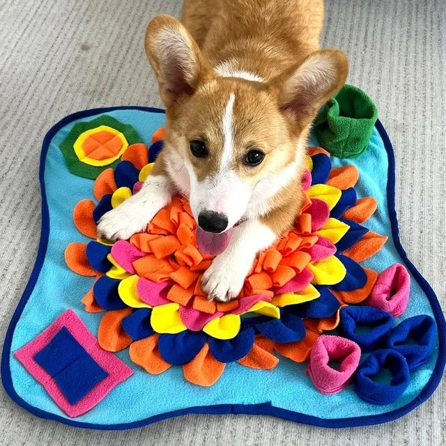 Sniff & Seek Play Mat