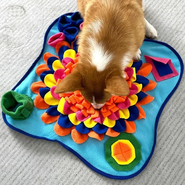 Sniff & Seek Play Mat