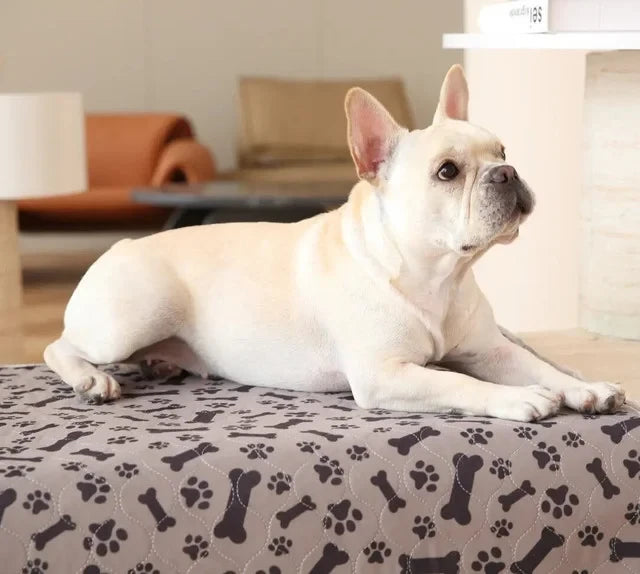 Pet Training Pad