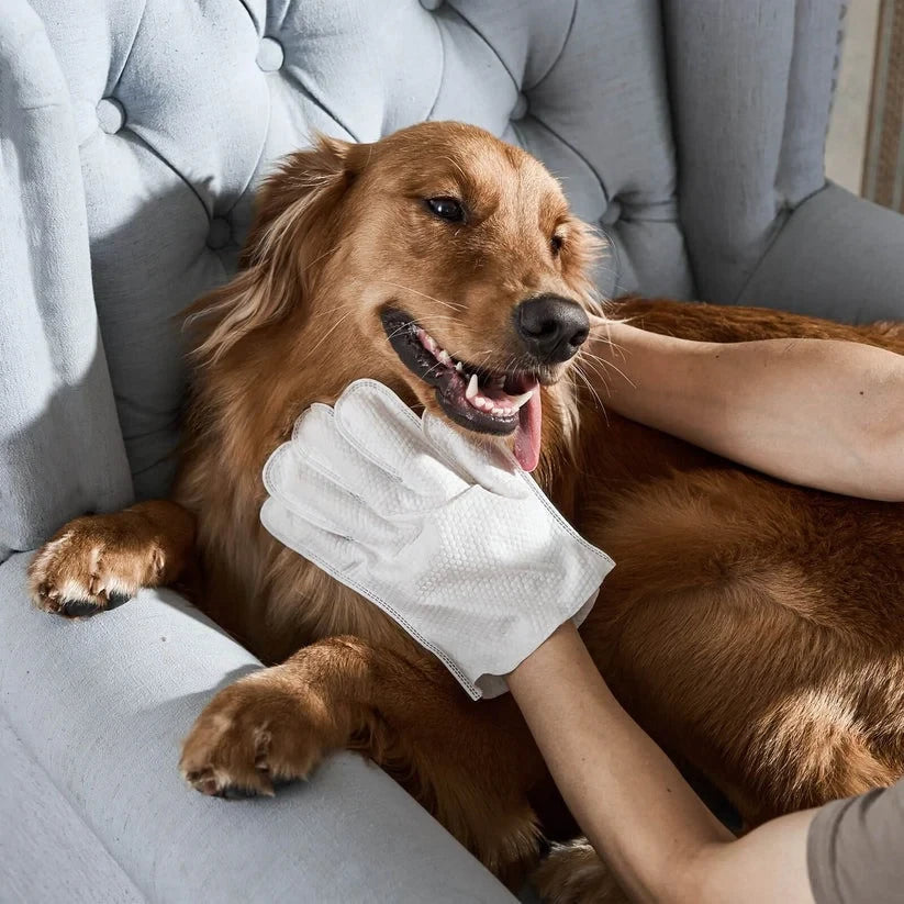 Clean Paw ? Pet Wipe Glove