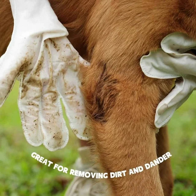 Clean Paw ? Pet Wipe Glove
