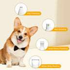 Pet Style Expert