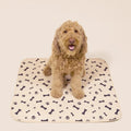 Reusable, Leak-Proof Training Pad for Pets