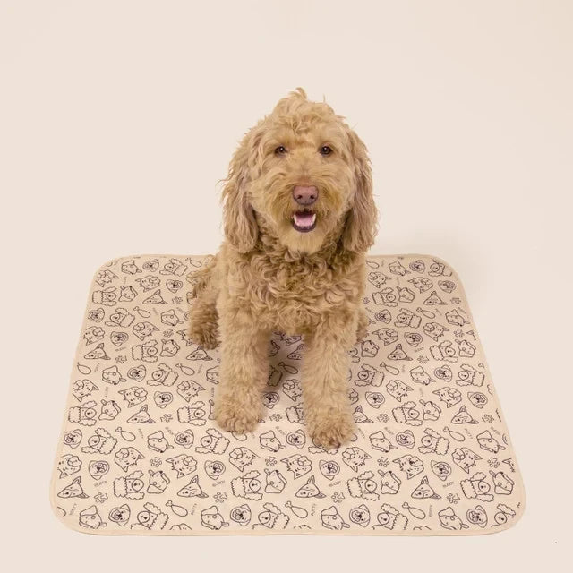 Reusable, Leak-Proof Training Pad for Pets