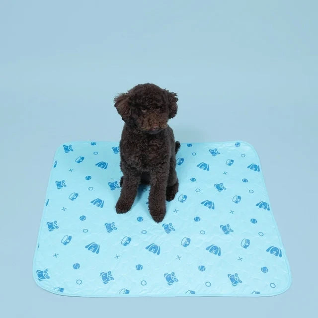 Reusable, Leak-Proof Training Pad for Pets