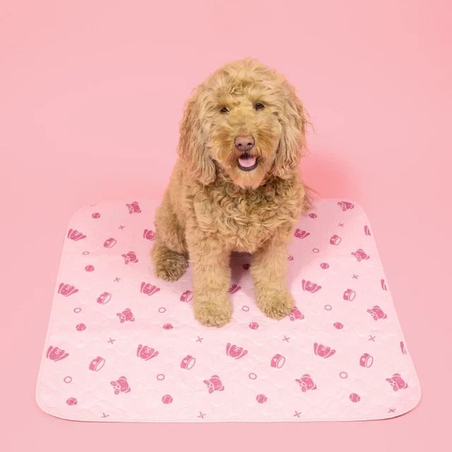 Reusable, Leak-Proof Training Pad for Pets